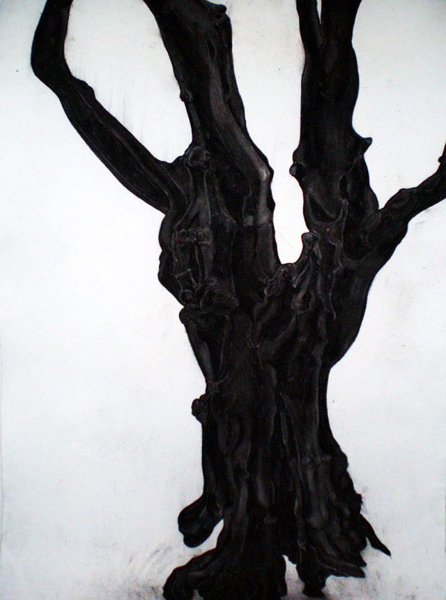 Mary Hrbacek - Bone Structure