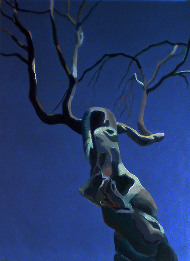 Mary Hrbacek - Mary Hrbacek - Anthropomorph 