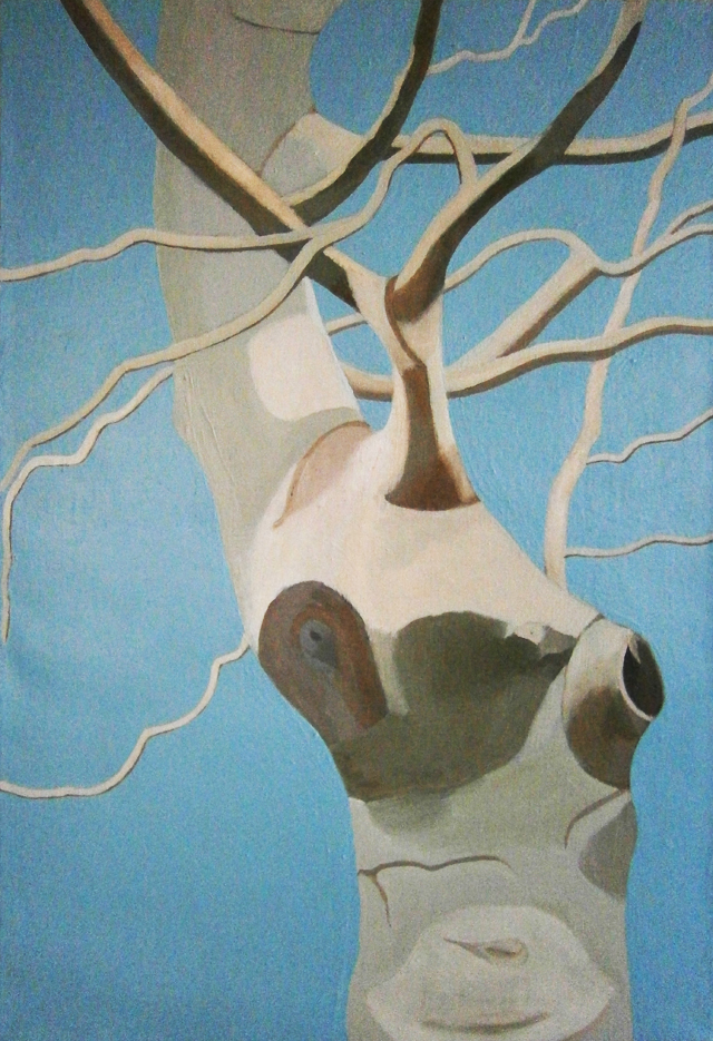 ary Hrbacek - Head